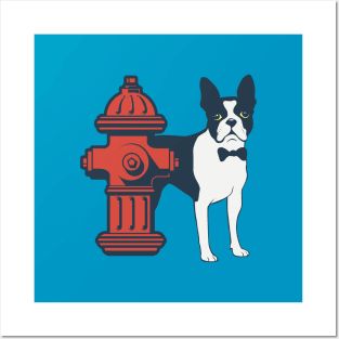 Boston Terrier Posters and Art